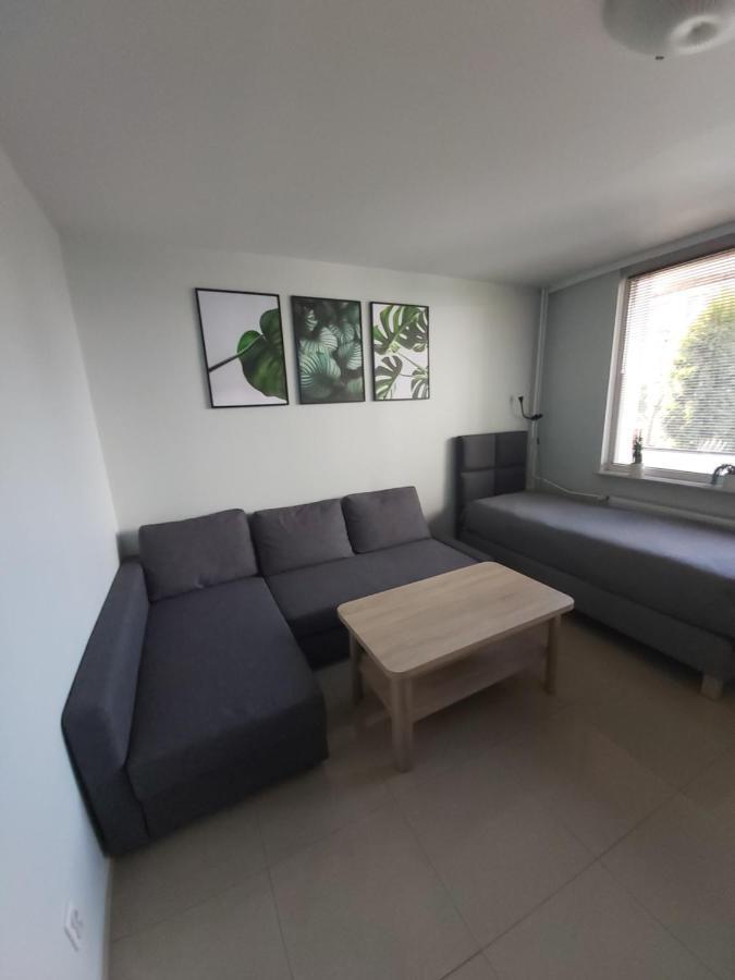 Apartament Z Ogrodem Tychy Esterno foto